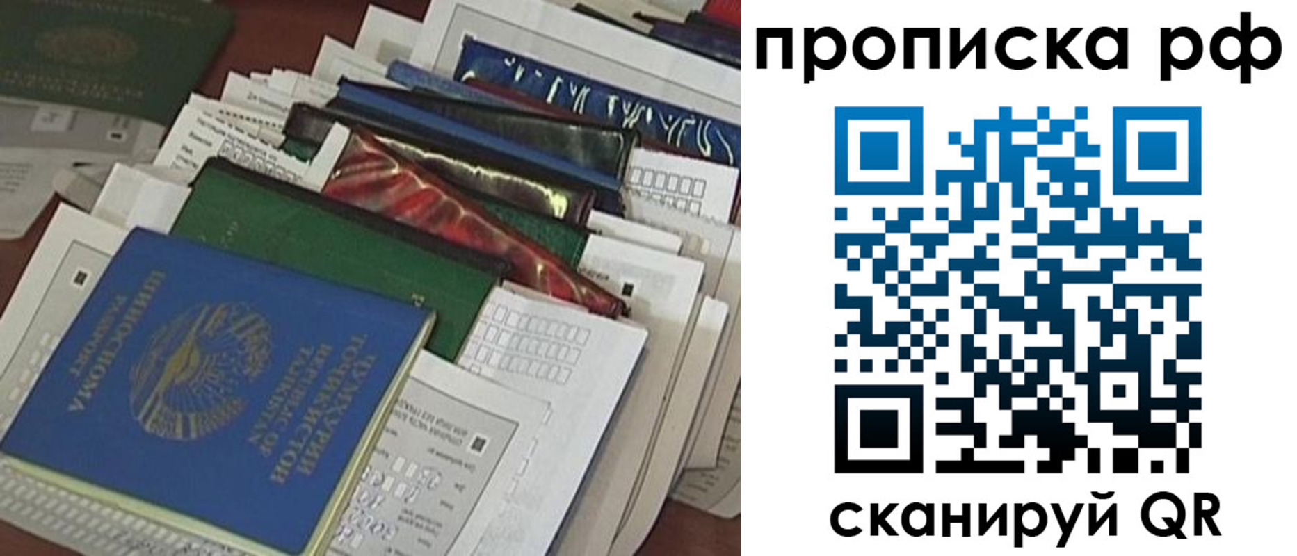 прописка в Чистополье